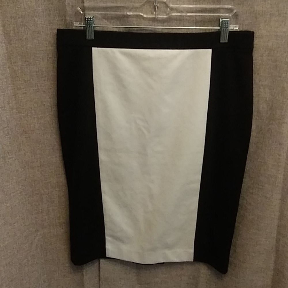 Ann Taylor skirt N.W.T.